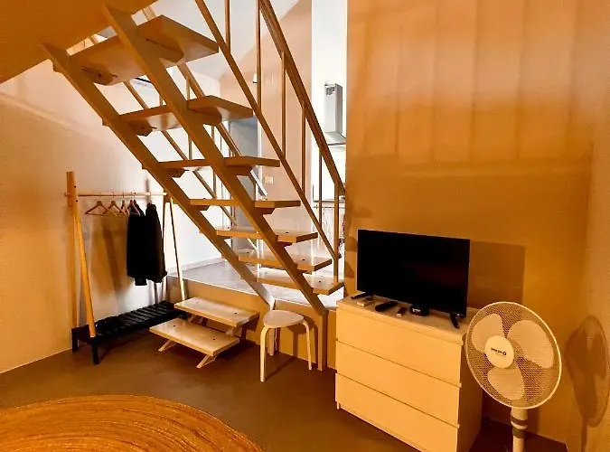 Zore دوبروفينك