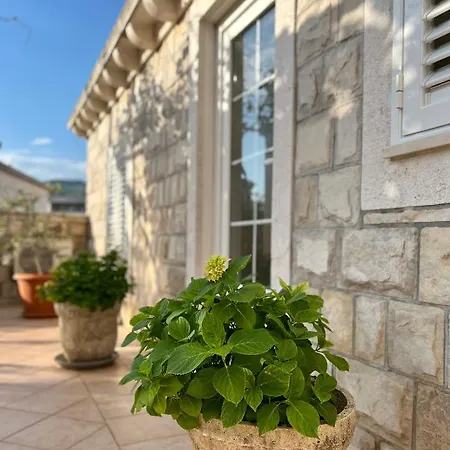 Zore Σπίτι διακοπών